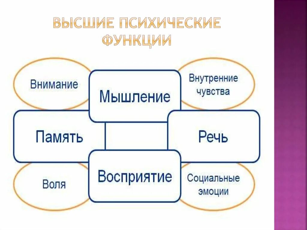 Факторы психических функций. Высшие психические функции это в психологии. Что относится к высшим психическим функциям. К высшим психическим функциям относят. Высшиепсхические функции.