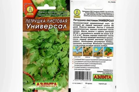 Сорт семян петрушки