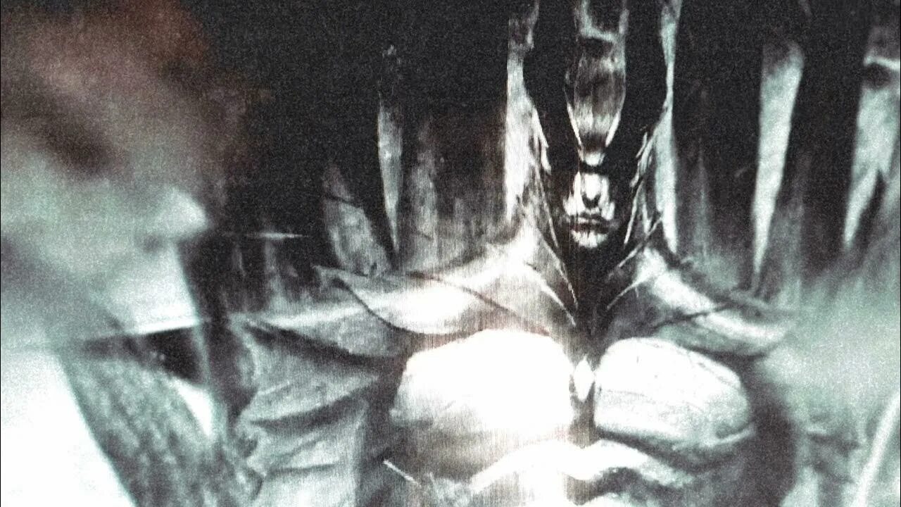 Zxcursed torontokyo fractal horns. Zxcursed torontokyo fractal horns. Zxcursed torontokyo fractal horns. Fractal horns. Zxcursed torontokyo fractal horns.