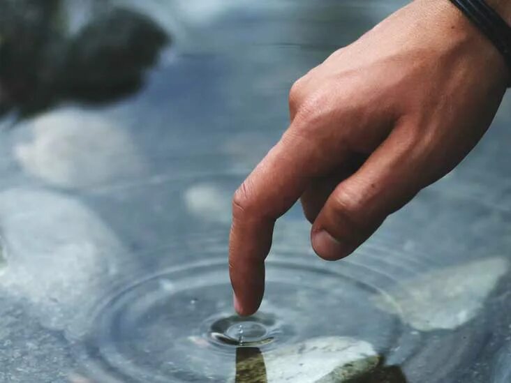 Вода лапа. Прикосновение к воде. вода высохла.