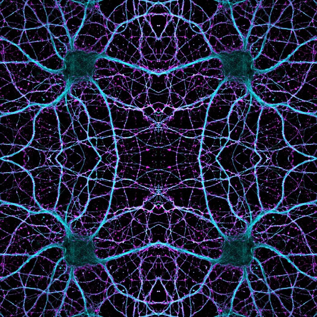Генерировать с помощью нейросети. Нейронные микросети. Нейронные сети Алиса. Нейросеть Нейроны. Лсд нейросеть.