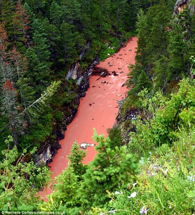 Водопад Кэмерон Канада. Красная река (River Runs Red). Красный водопад.