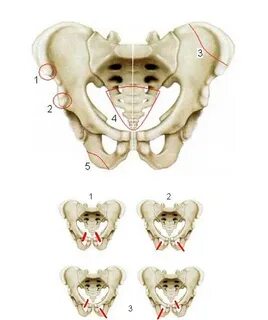 Порнодағы ауырсыну