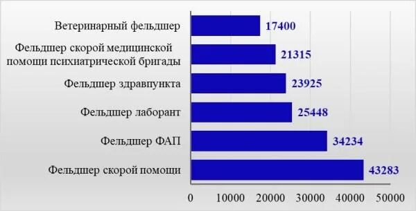 Зарплата фельдшера. Средняя зарплата фельдшера в России. Ср зарплата фельдшера. Сколько зарабатывает Фельчер. Фельдшерам повысят зарплату