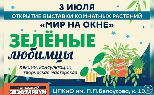 Не бросайте животных на дачах. Хлопуша капитанская дочка. Стихи с автором. Собака и кошка вместе. Любимица на особом доверии 10 букв.