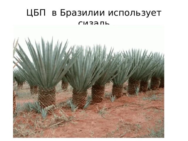Поздравляем с юбилеем! Астраханский Государственный Медицинский Университет