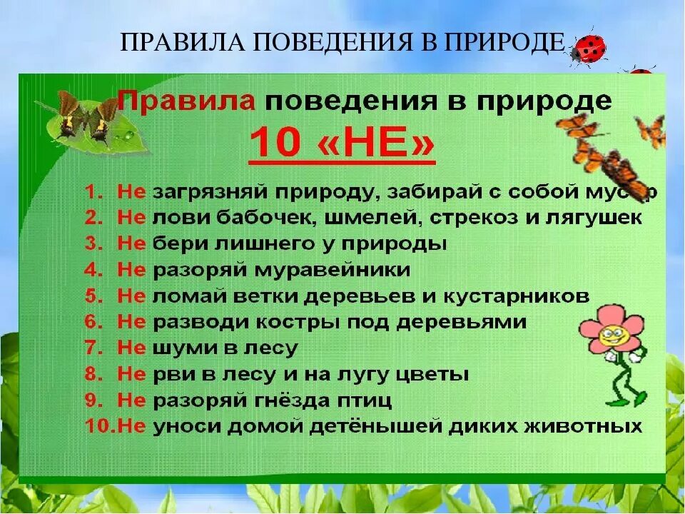 Составить памятку поведение в лесу