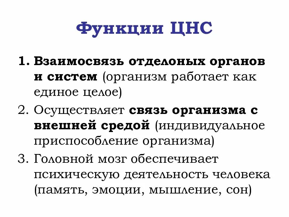 Строение и функции центрального. Центральная нервная система функции кратко. Функции центральной нервной системы. 1. Основные функции ЦНС. Функции ЦНС физиология кратко.