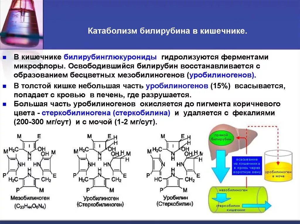 Структура билирубина. Схема образования билирубина. Катаболизм билирубина биохимия. Метаболизм билирубина биохимия.