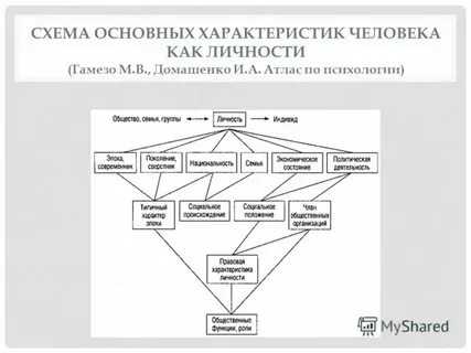 Укажите не менее трех основных характеристик человек