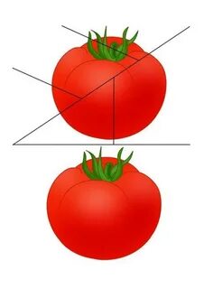 Собери овощ