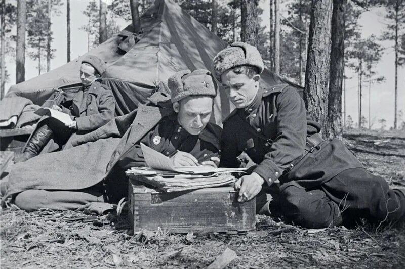 Ленинградский фронт день Победы. Красноармейские защитники. Правила жизни на войне. Архивариусы фото военных времен. Видео с фронта россии