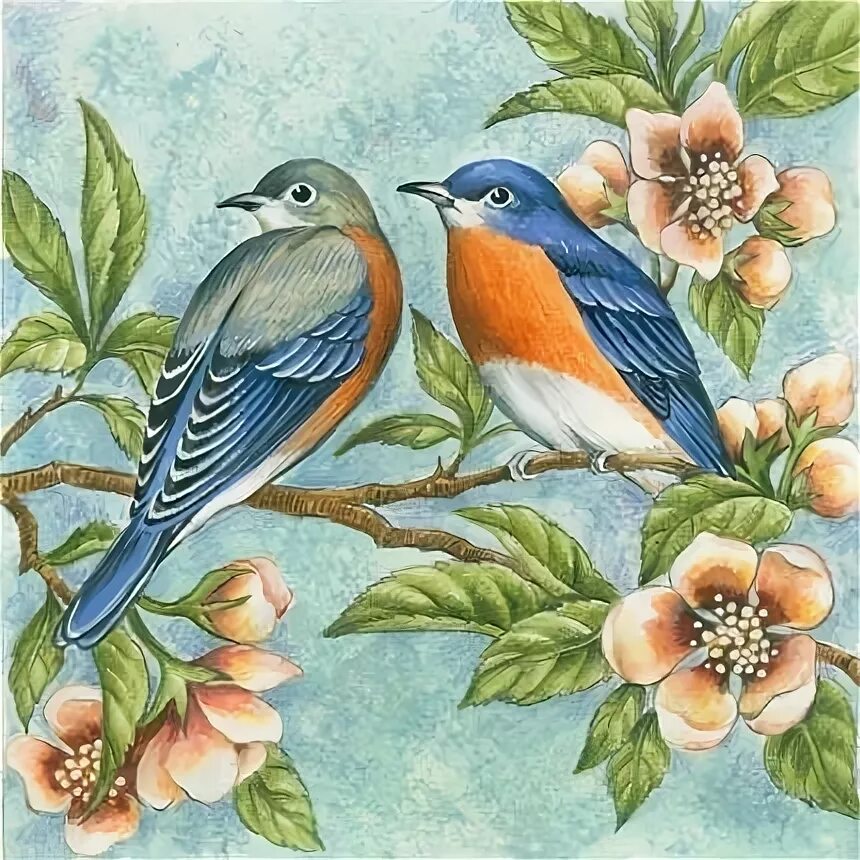 голубая сойка ягоды1234.jpg- Viewing image -The Picture Hosting