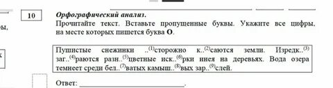 Рустьюторс изложения огэ 2024