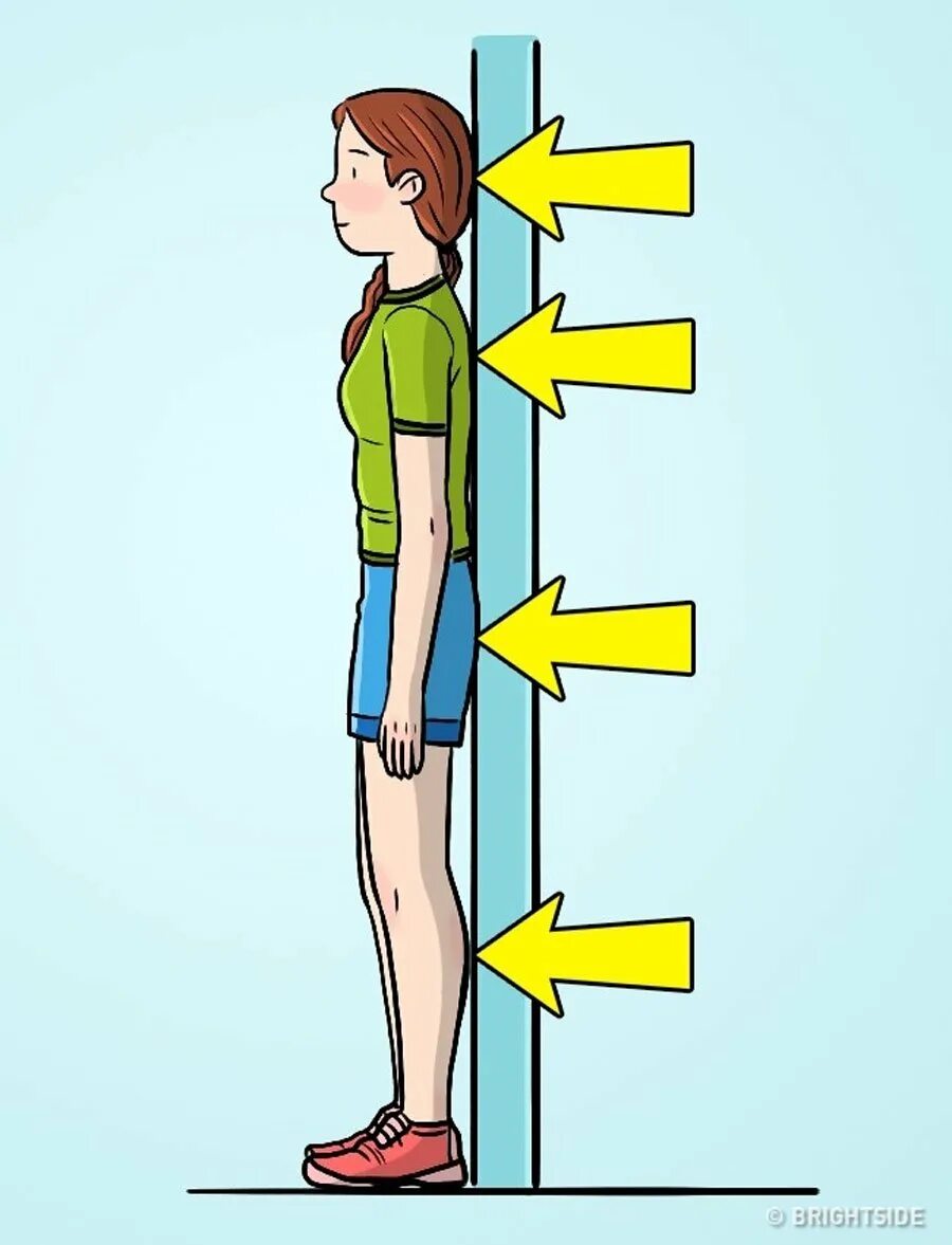 Плотно прилегать к телу. Правильная осанка. Правильная осанка у стены. Упражнения для осанки у стены. Праивлтняа осанка у стены.