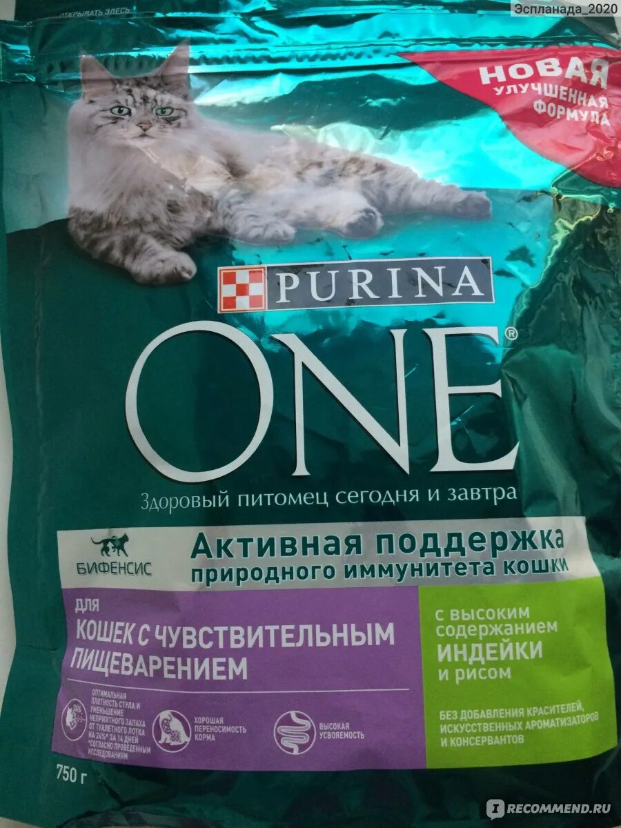 Реклама кошачий корм пурина. Пурина ван консервы. Пурина one линейка собак. Корм для собак пурина проплан гипоаллергенный для собак. Пурина форум.