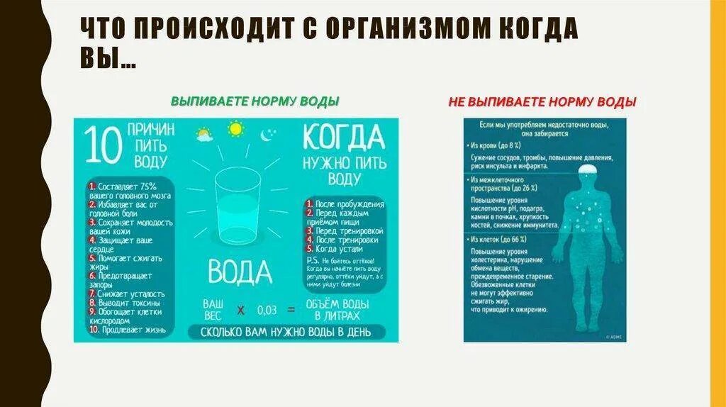 Кому необходимо пить. Вода в организме. Сколько нужно пить воды. Количество воды в организме. Норма воды в день.