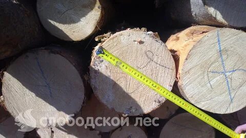 Длина бревна 20 метров