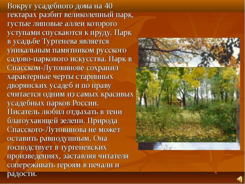 Я стоял около дома тургенева основная мысль. Дуб Тургенева в Спасское Лутовиново. Дуб писателя Тургенева. Дуб в Спасском Лутовиново. Дуб Тургенева Тургенева.