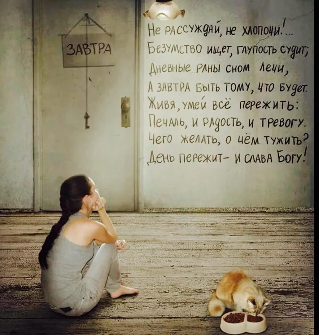Не хлопочи безумство ищет глупость судит