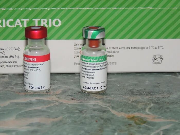 нобивак tricat trio. вакцина нобивак трикет трио. нобивак трикет трио 10*1. трикет трио для кошек. нобивак трикет для кошек.