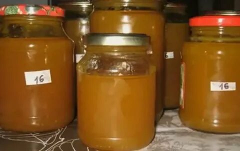 Желтая слива рецепты на зиму повидло