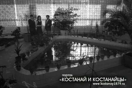 Рассвет костанай