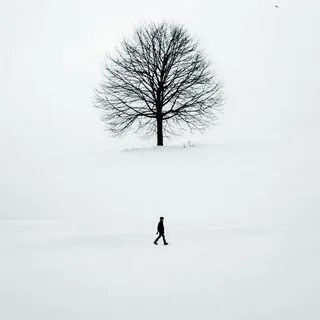 Think snow