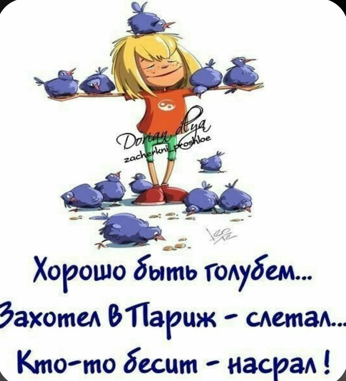 Приколы дня в картинках с надписями. Открытки для поднятия настроения. позитив смешные картинки. позитивные высказывания для поднятия настроения. картинки прикольные для настроения.