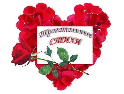 Слова благодарности поэту