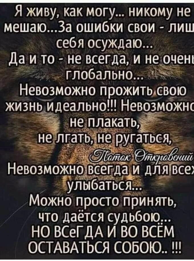 Я живу как могу никому не мешаю. Я живу как могу никому не. Я живу как могу никому не мешаю за ошибки свои лишь себя осуждаю. Живу как могу. Стих я живу как могу никому не мешаю.