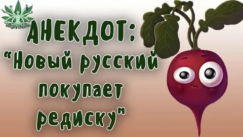 Редиска нехороший