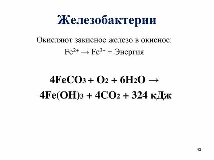 4 fe o2