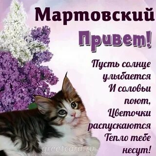 Мартовский приветик