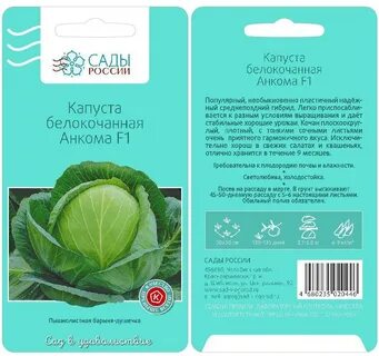 Капуста сорт анкома
