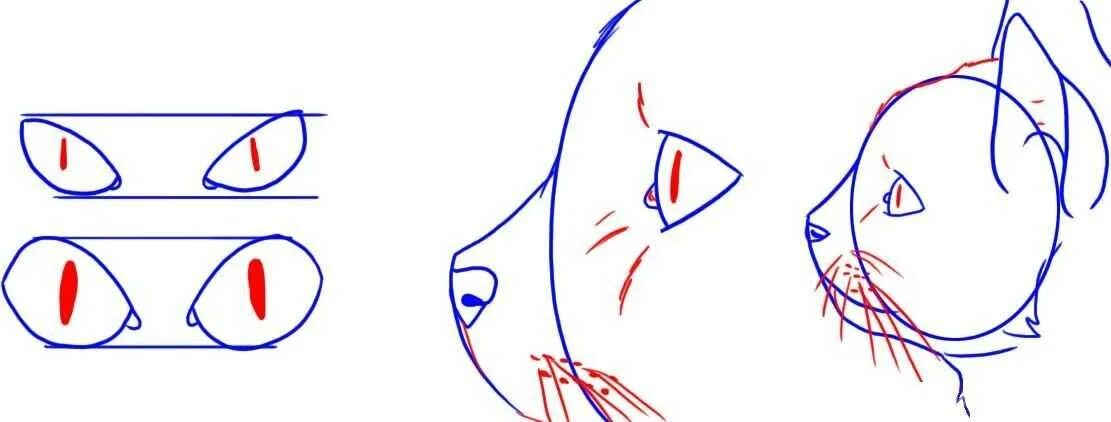 Как нарисовать катнапа. Кошачий нос карандашом. Рисование для начинающих глаза котов.