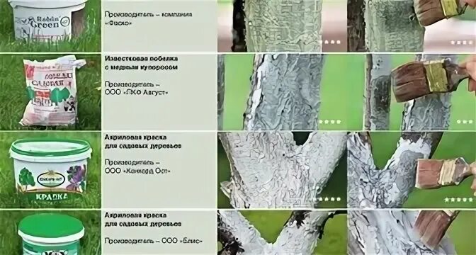 Побелка для деревьев своими руками несмываемая