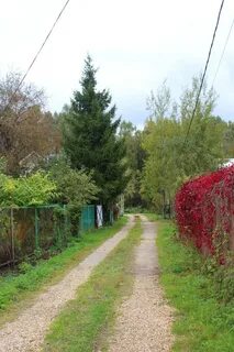 Прогноз погоды княжево