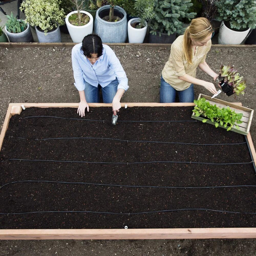 Build a garden