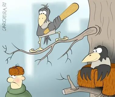 Грачи прилетели и охренели