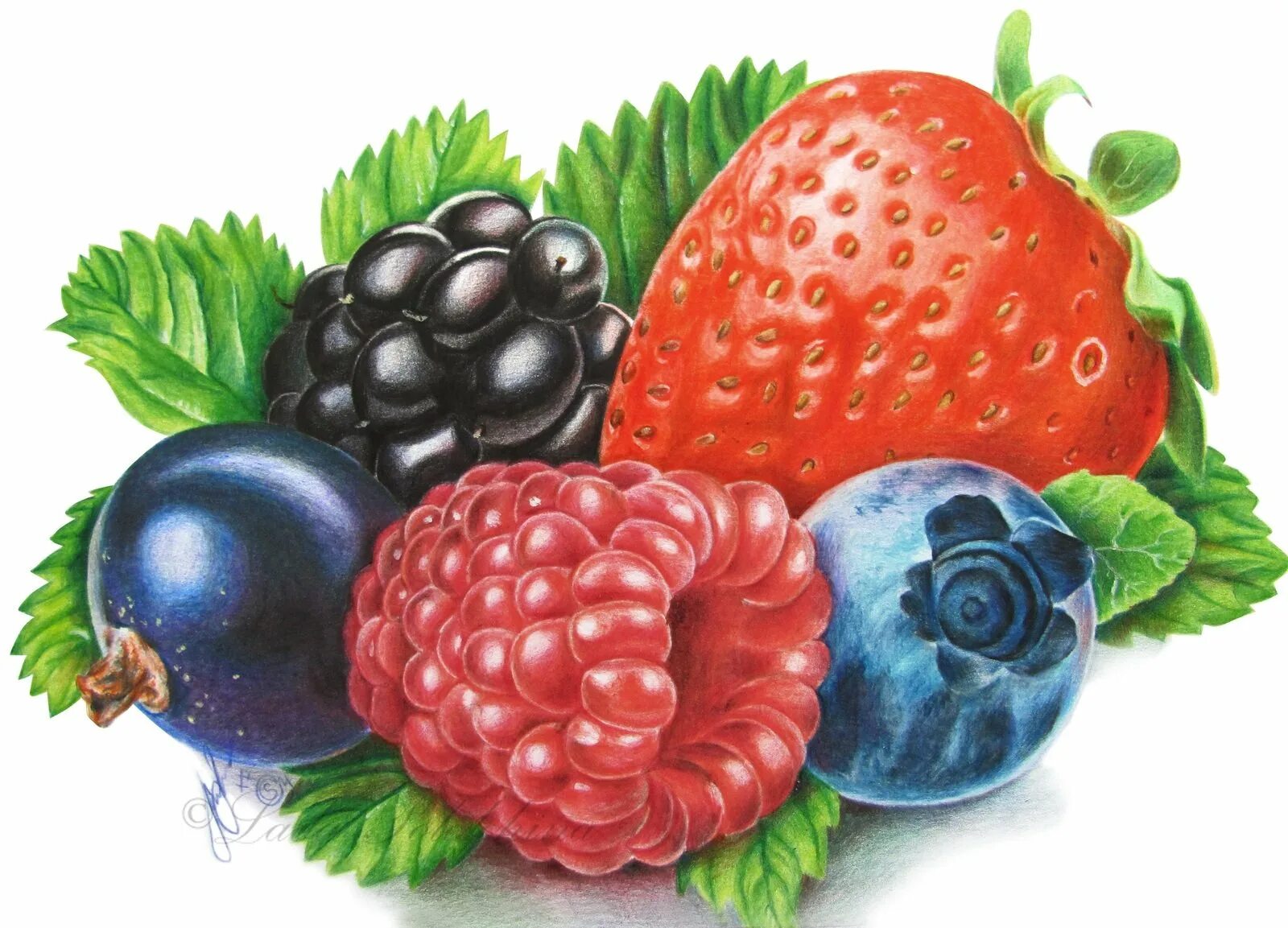 Фрукты и ягоды для детей. Садовые ягоды рисунок. Ягоды для детского сада. Ягоды рисунок для детей. Ягоды для детей дошкольного возраста.