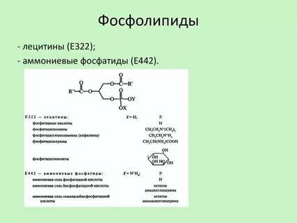 Комплекс фосфолипидов плюс инструкция