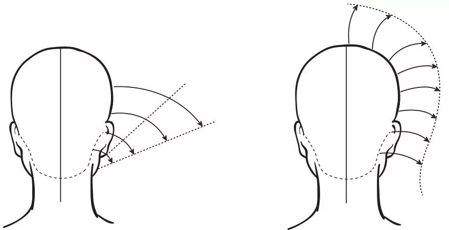 Линия затылка. Макет головы для стрижки. Схема головы для парикмахеров. Макет головы для парикмахера. Голова в проекциях для парикмахера.