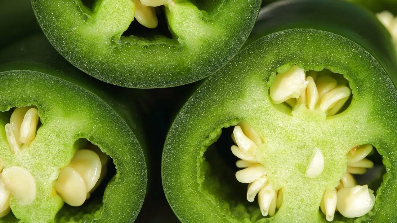 Перец халапеньо. Халапеньо мексиканский ra. Холопения что это такое. Холопения что это такое. Перец халапеньо.