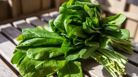 Информация - Рекомендации ГТО. Подготовка к сдачи нормативов ГТО. Полезные свойс