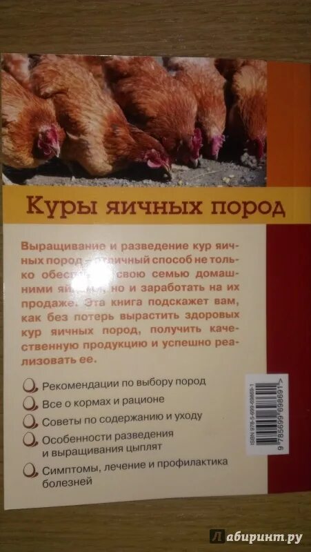 Куры яичных пород купить. Книги разведение кур яичных пород. Книга куры несушки. Книги про куриц яичных пород. Порода Тихая несушек.