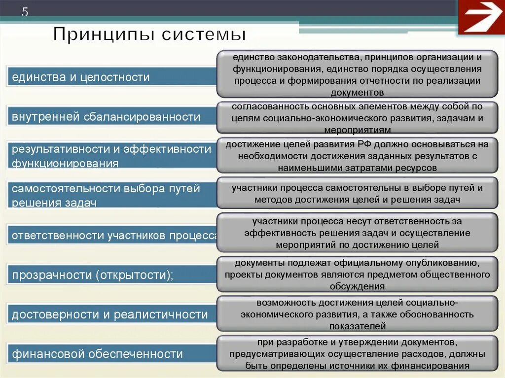 Развитие государственного единства. Цели и задачи мероприятия. Принципы системы. Принципы социального развития организации. Принцип формирования организации и функционир.