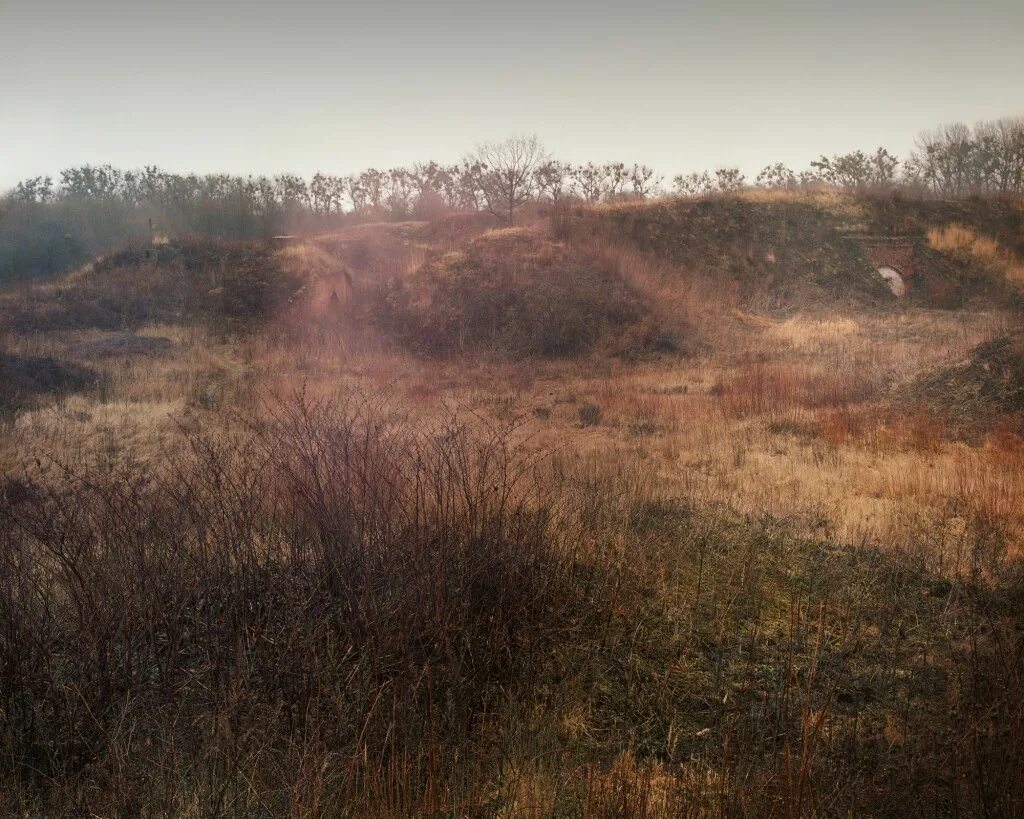 Найди снайпера игра. Симон меннер найди снайпера. Симон меннер найди снайпера. Найди снайпера. Замаскированный снайпер.