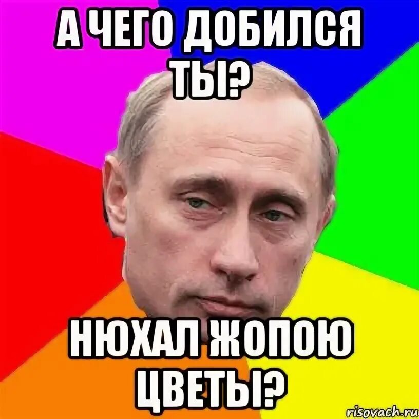 Текст быть обнюханным сидеть с тобой часами. Попой нюхаешь цветы. Ты ты попой нюхаешь цветы. Ты ты попой нюхаешь цветы а цветы железные для тебя полезные. Нюхает Мем.