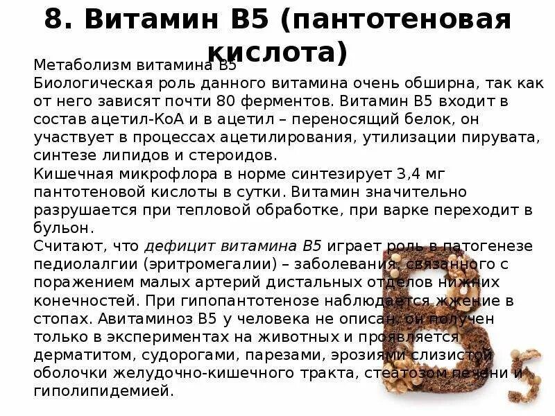 В5 для чего нужен организму. B5 пантотеновая кислота. Пантотеновая кислота это витамин в6. Биологическая роль витамина в5 пантотеновая кислота. Роль в организме витамина b5.